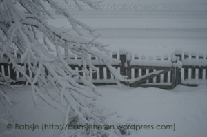 Front Gate in Snow - babsjeheron © 2023 Babsje (https://babsjeheron.wordpress.com)